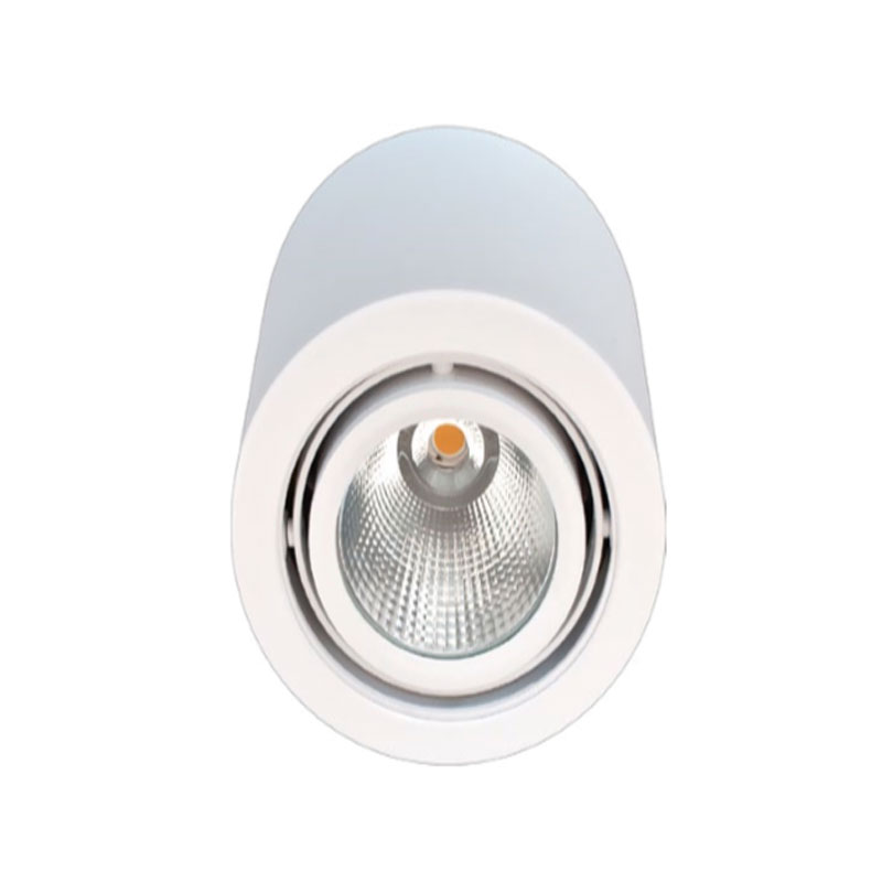 SURFACE MOUNTED LIGHTING FIXTURES