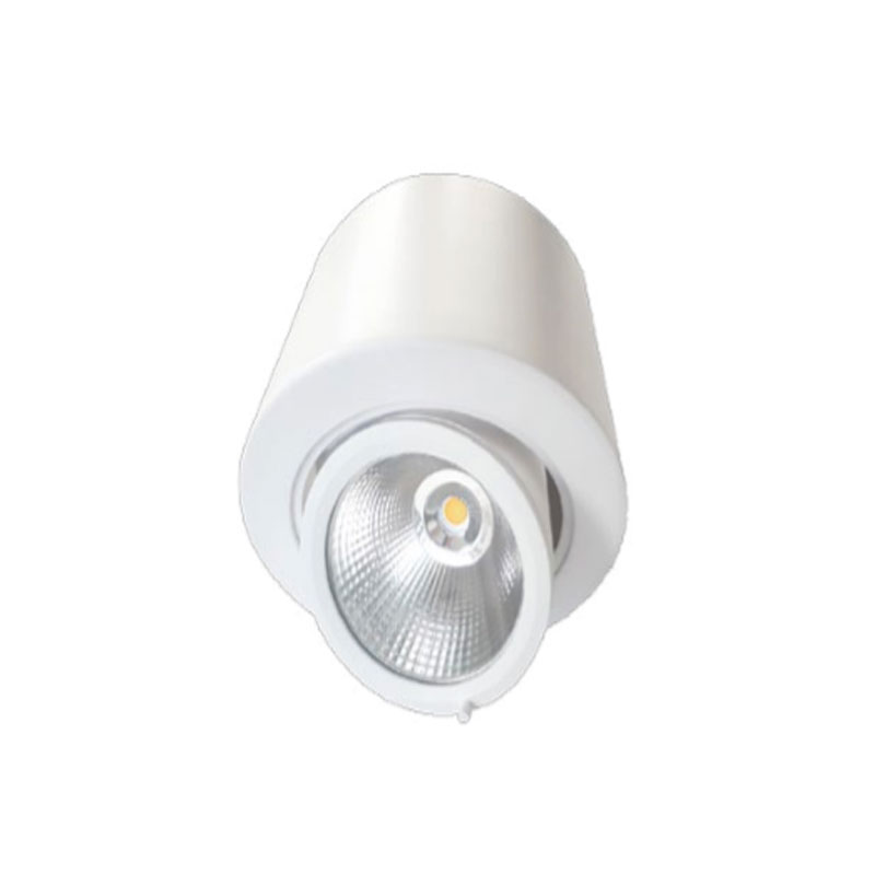 SURFACE MOUNTED LIGHTING FIXTURES