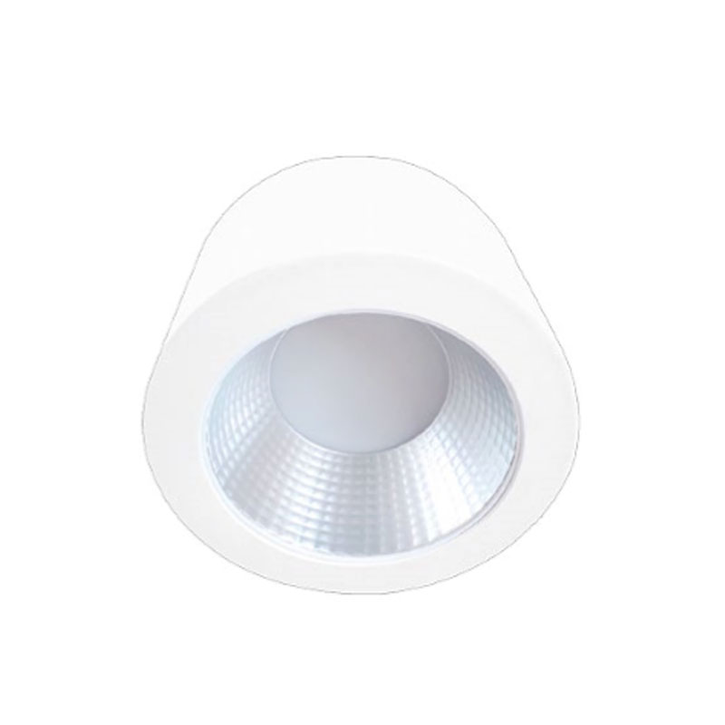 SURFACE MOUNTED LIGHTING FIXTURES