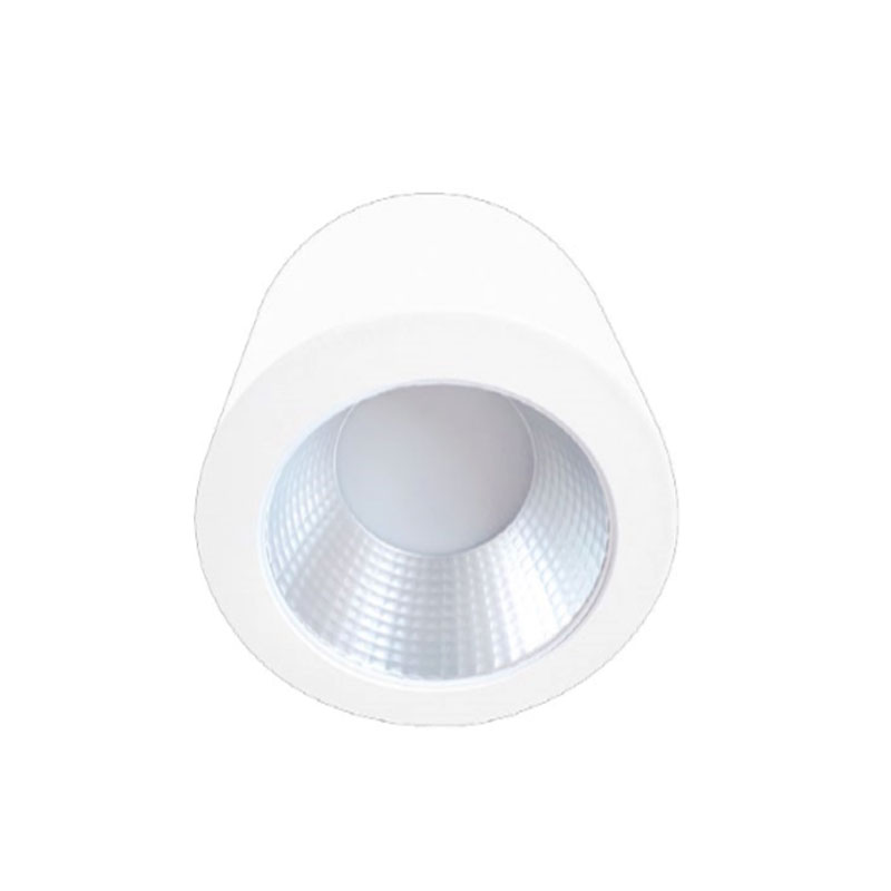 SURFACE MOUNTED LIGHTING FIXTURES